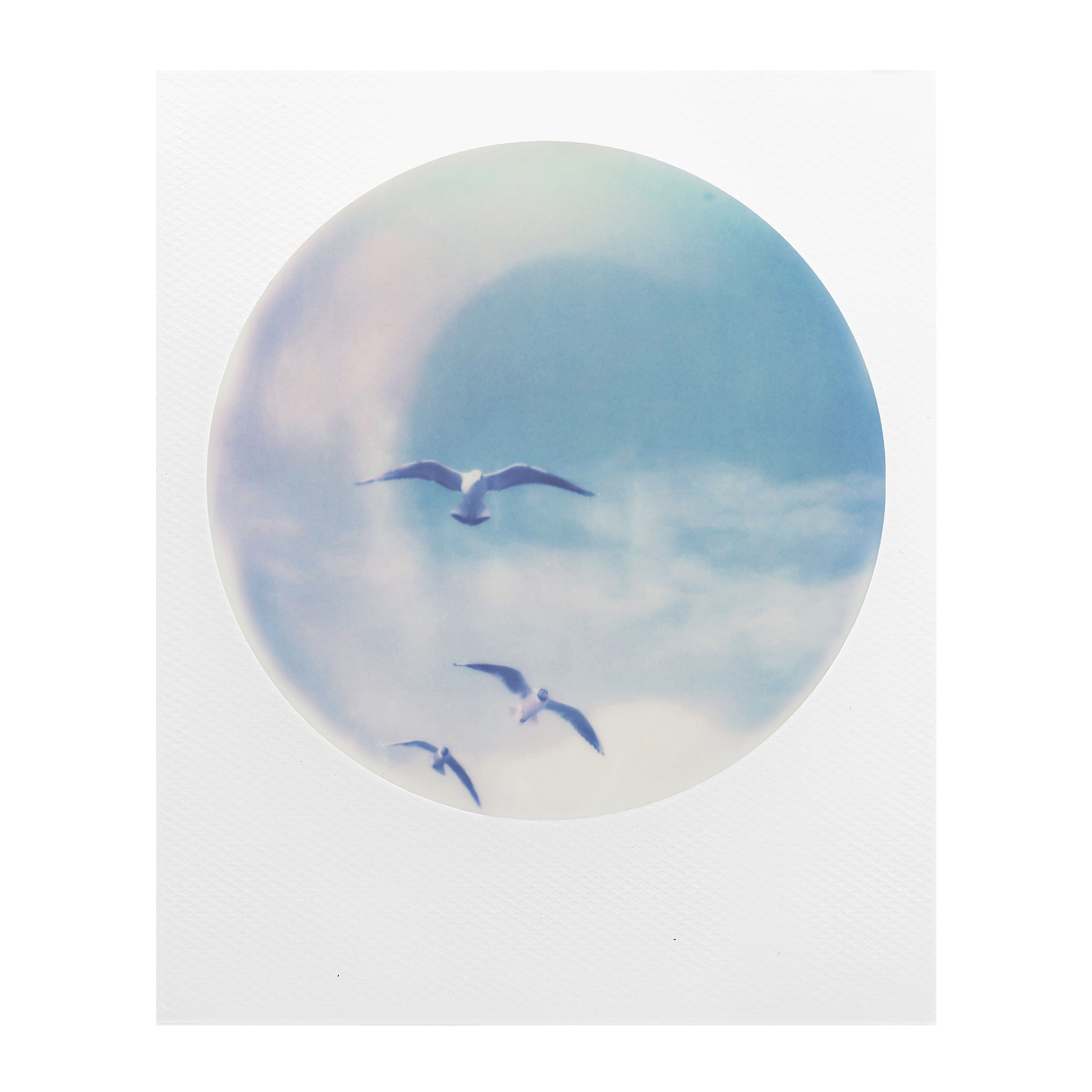 600 Colour Film - Round Frames