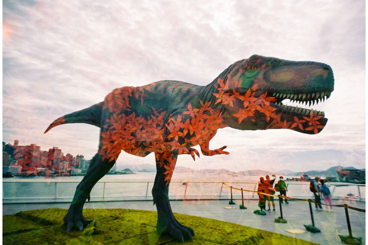 LomoApparat 21mm Wide Angle 35mm Camera - Neubau Edition