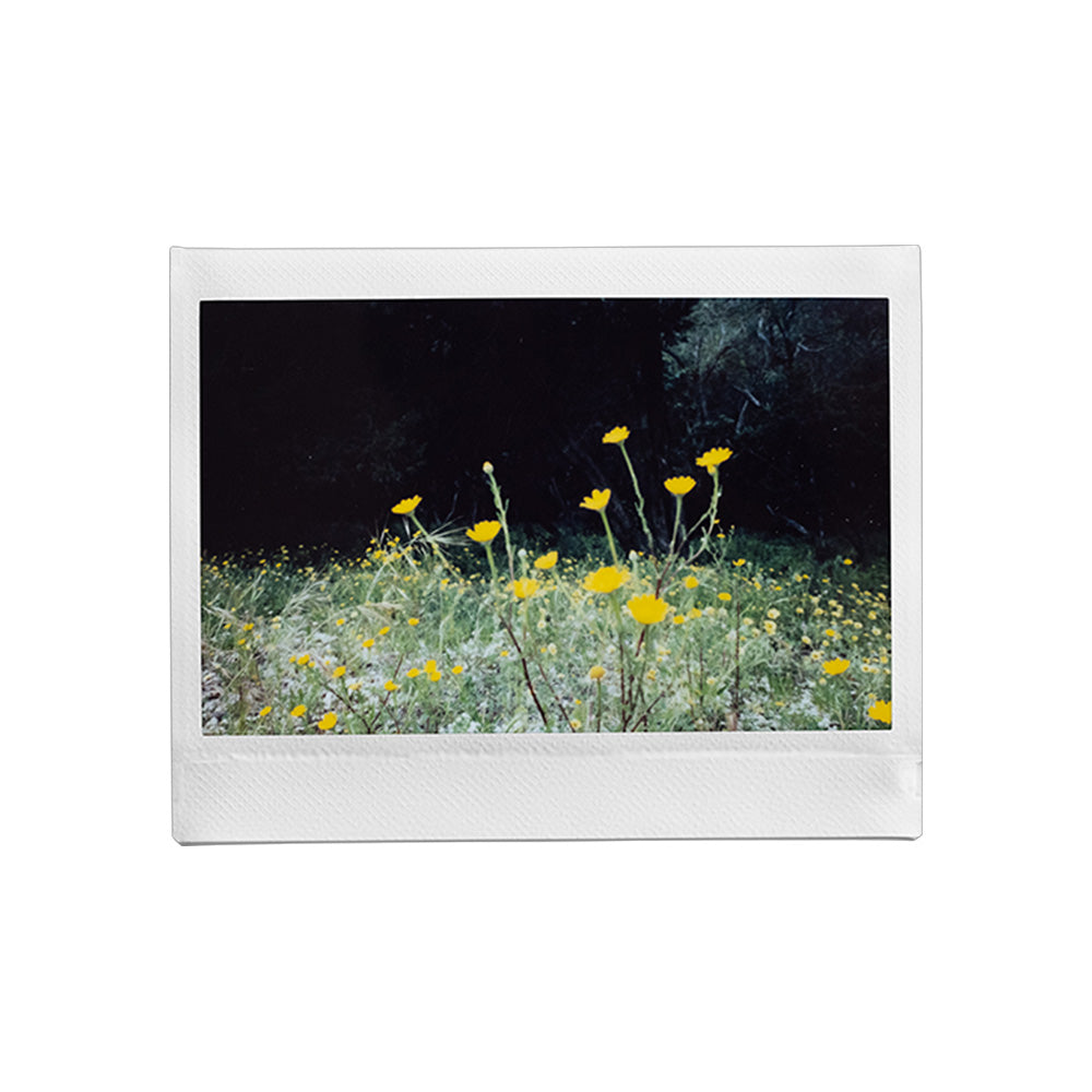 Instax Wide 400 Camera