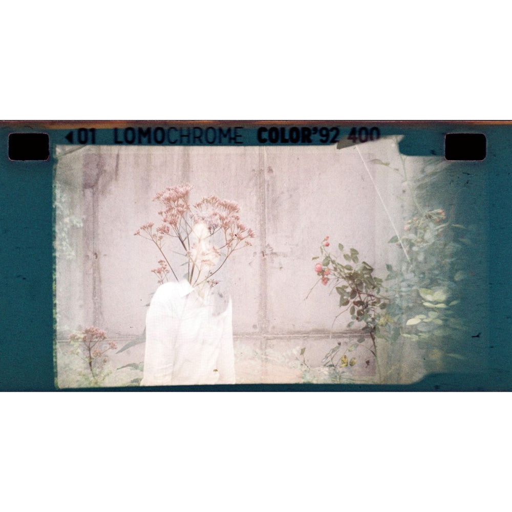 Lomochrome Color '92 'Sun-kissed' 400 110 Film