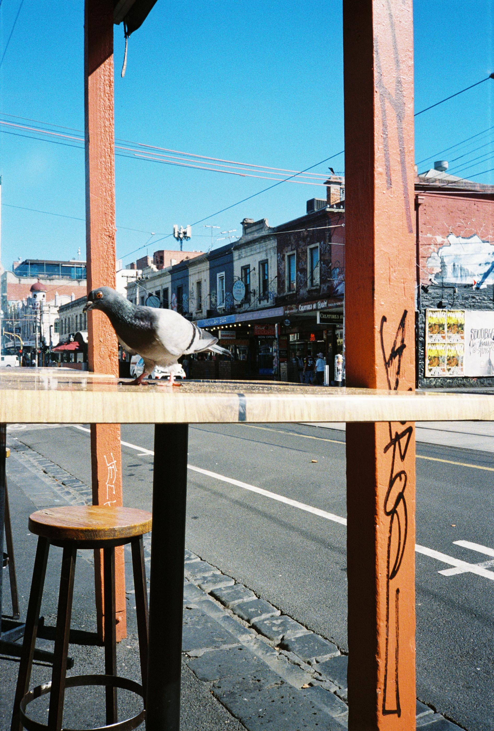 Pentax PG-201 35mm Point & Shoot Camera