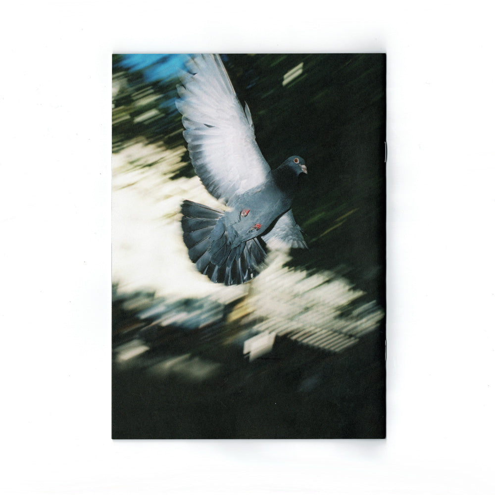 'Pigeon Envy' Zine