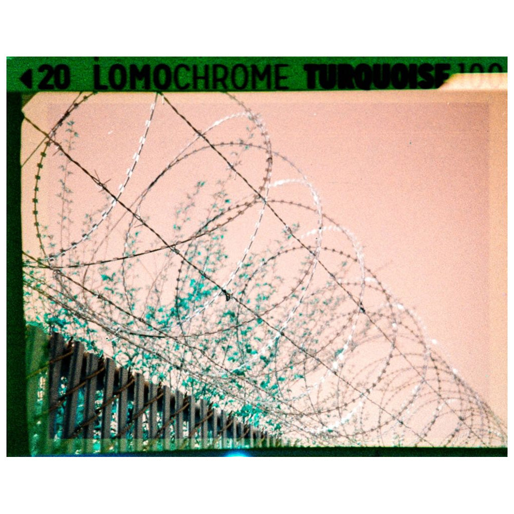 Lomography Turquoise 100-400 110 Film