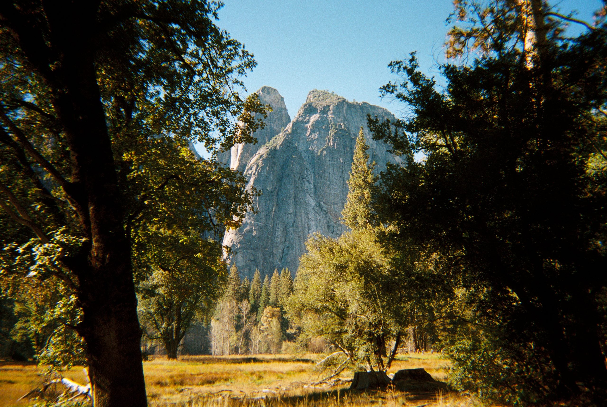 Long Weekend 35mm Film Camera - Creme-Multi