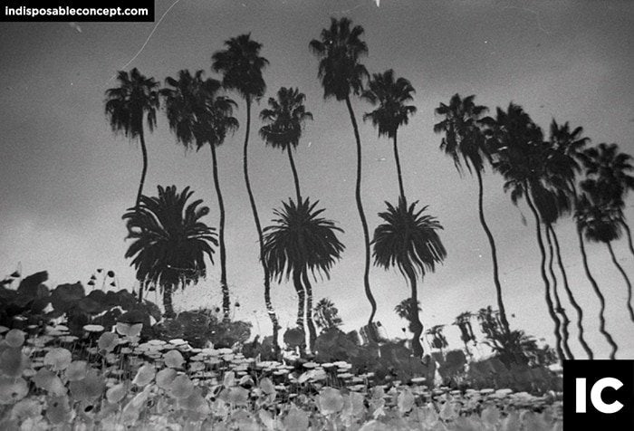 HP5+ B&W Disposable Camera