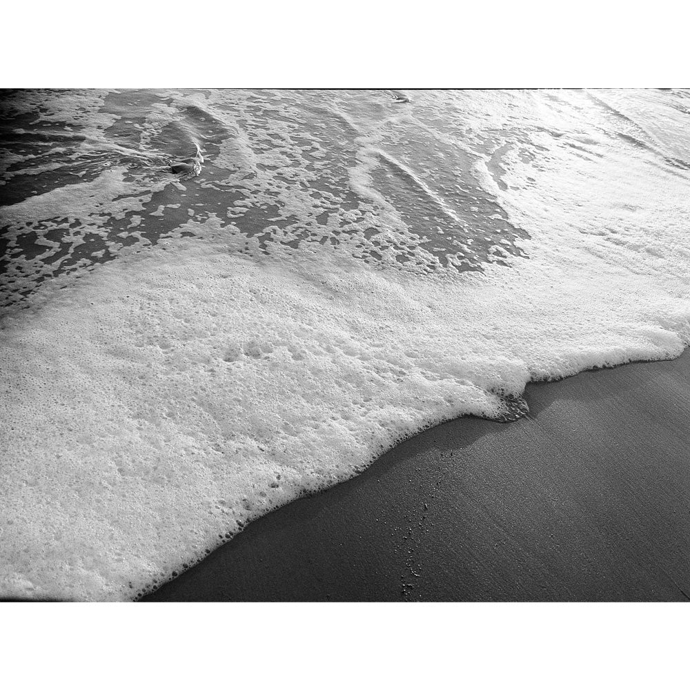 Kodak Tri-X 400 35mm
