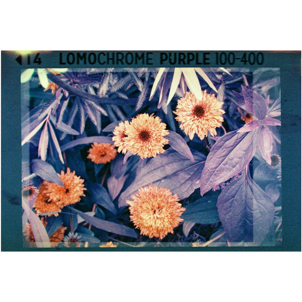 Lomography Analogue Pocket Trio - 110 Film Pack
