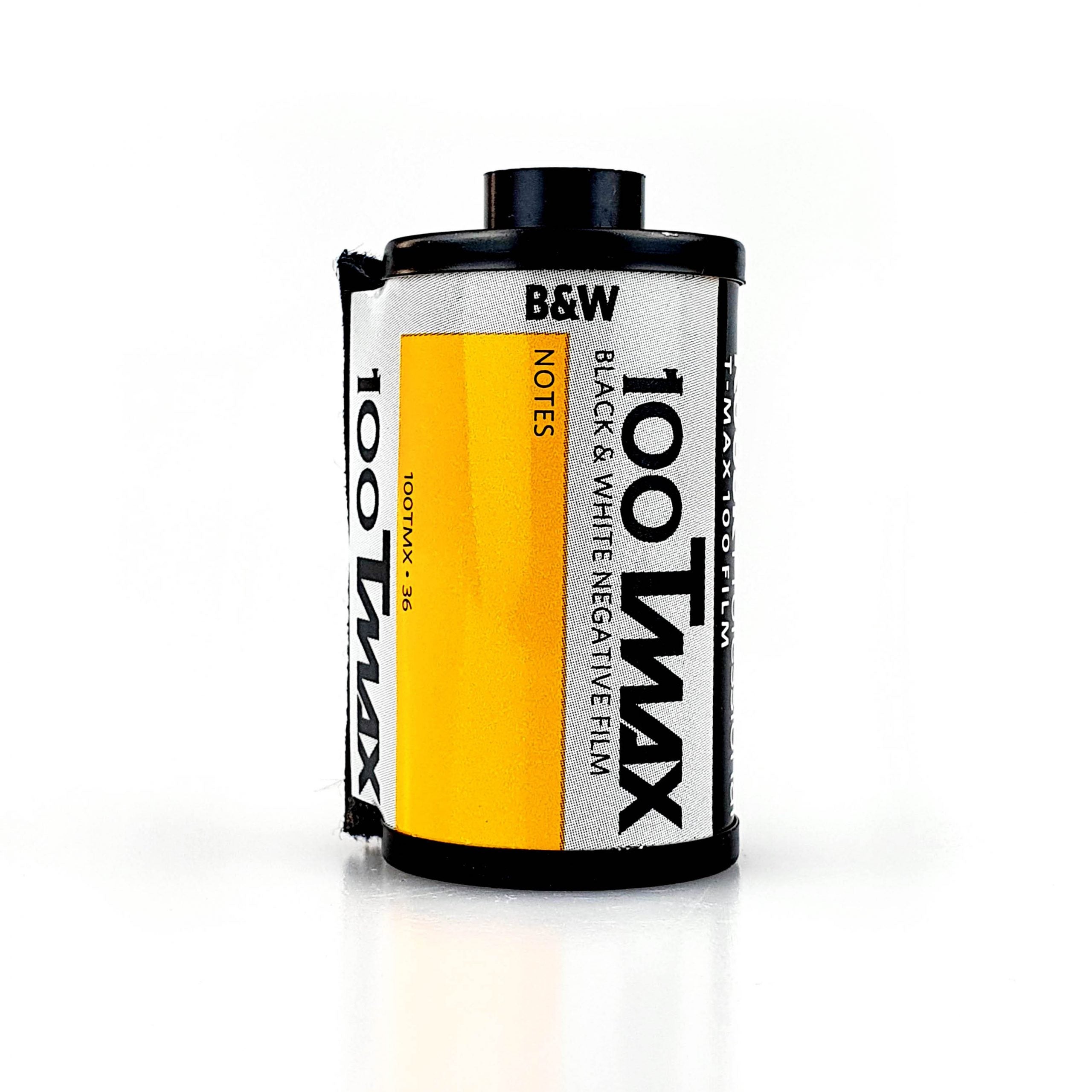 T-Max 100 35mm - 10 roll Brick (EXP 03/25)