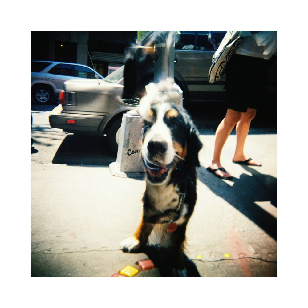 Lomography Diana F+ Camera & Flash - Mr. Pink