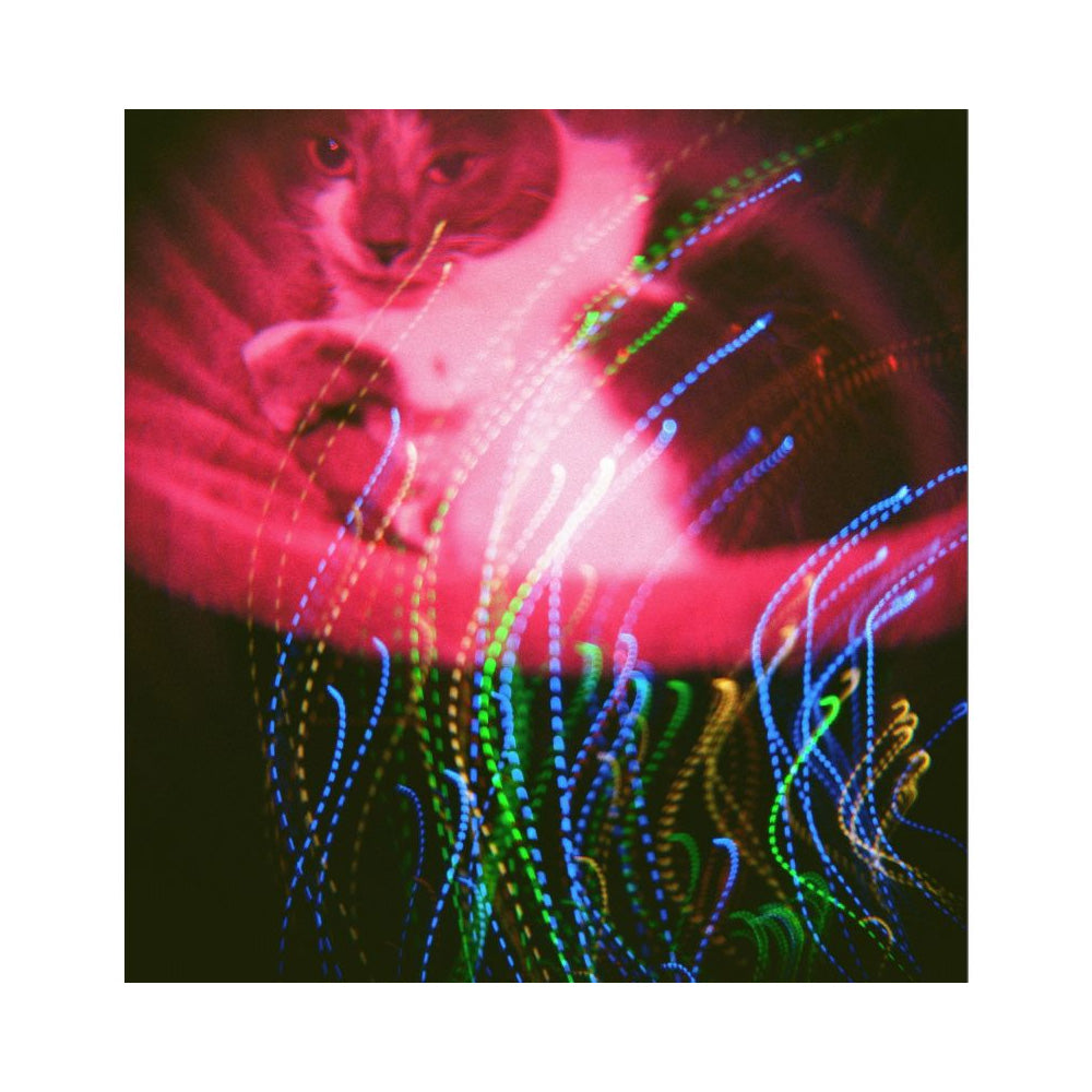 Lomography Diana F+ Camera & Flash - Mr. Pink