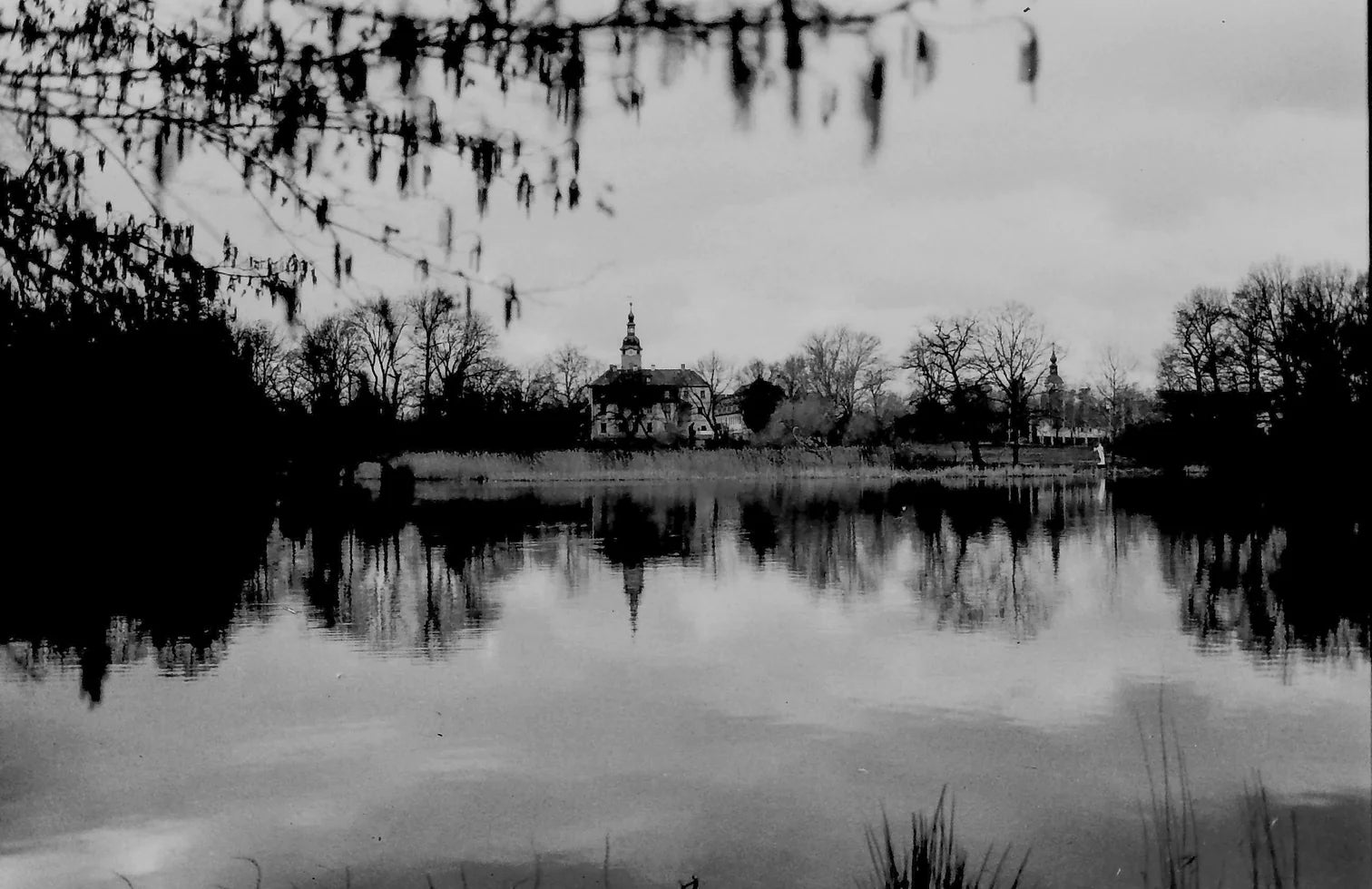 ORWO NP100 35mm (EXP: 10/24)