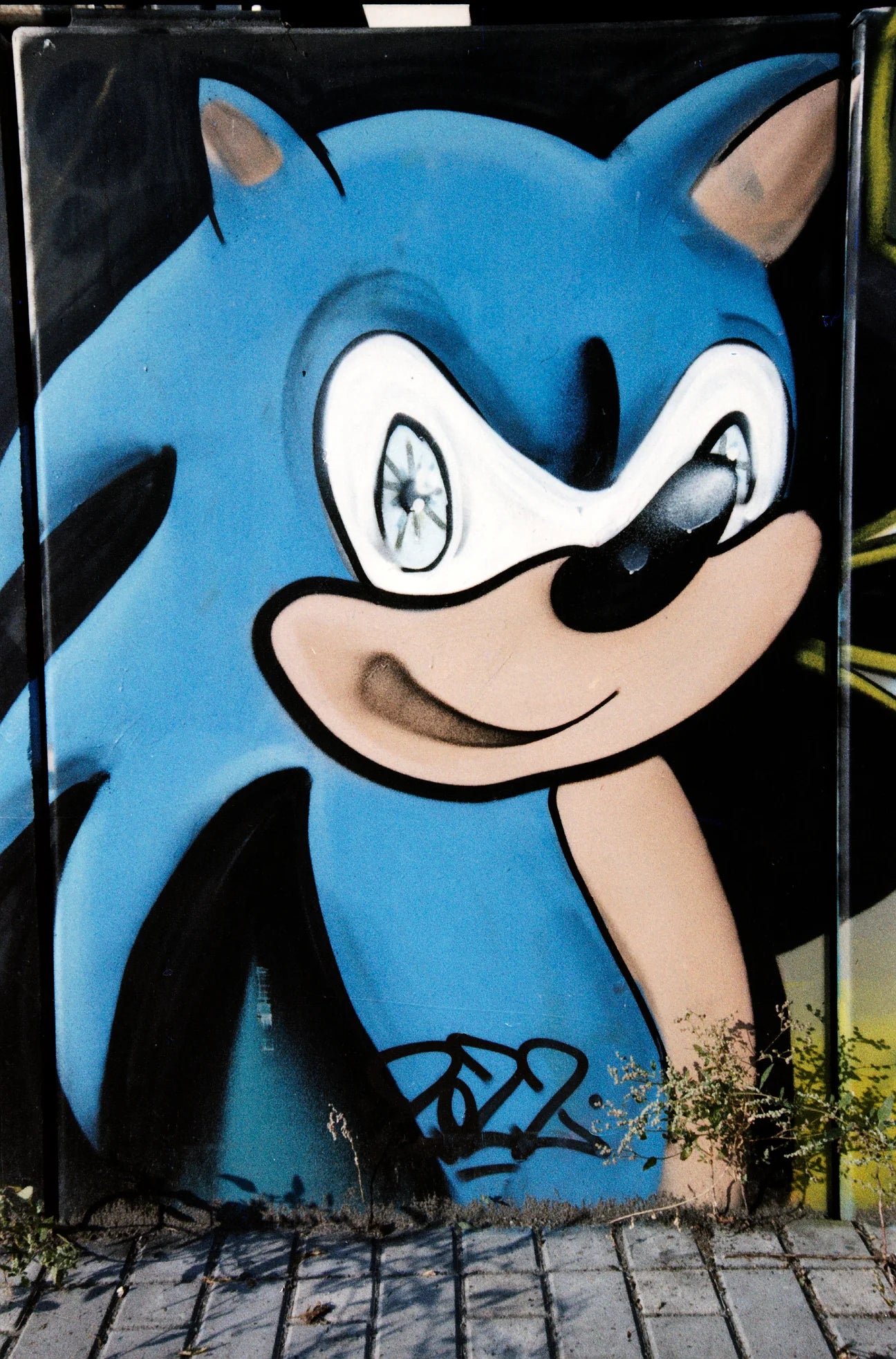 ORWO Wolfen NC400 35mm - 10 Roll Brick