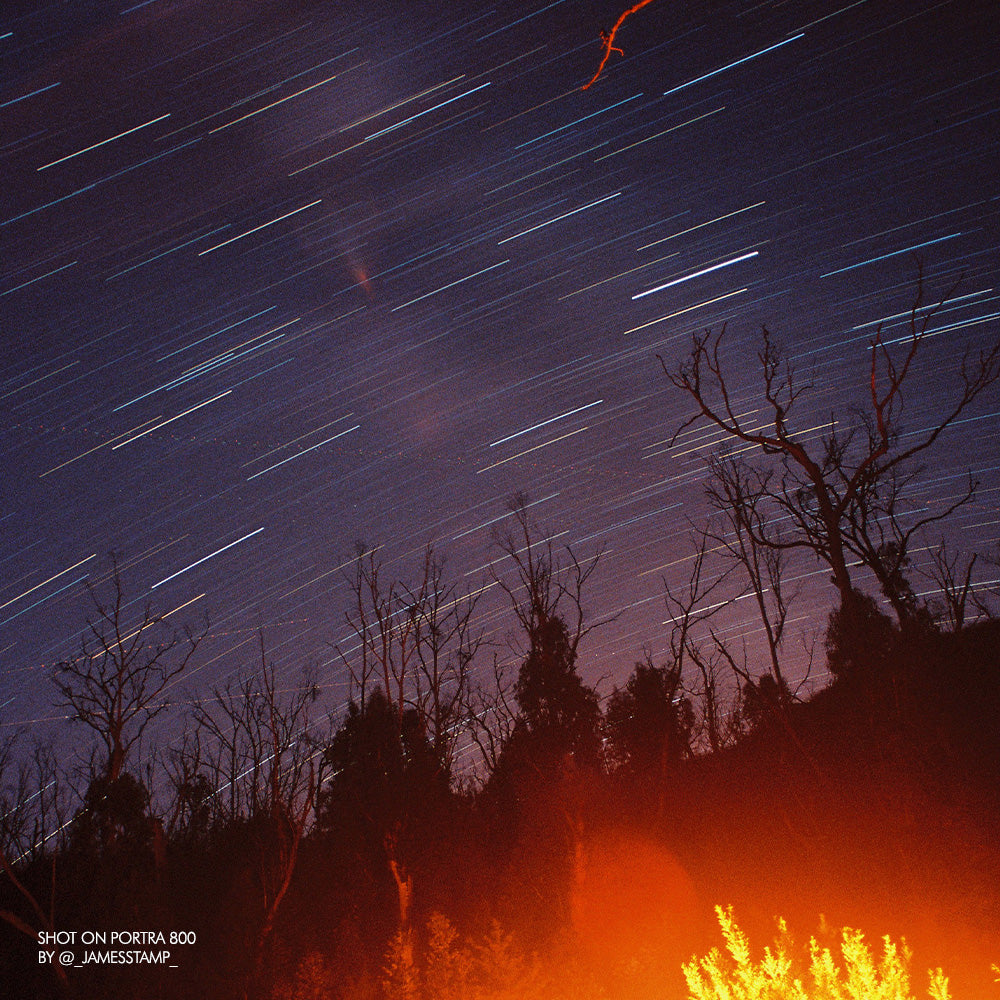 Kodak Portra 800 35mm