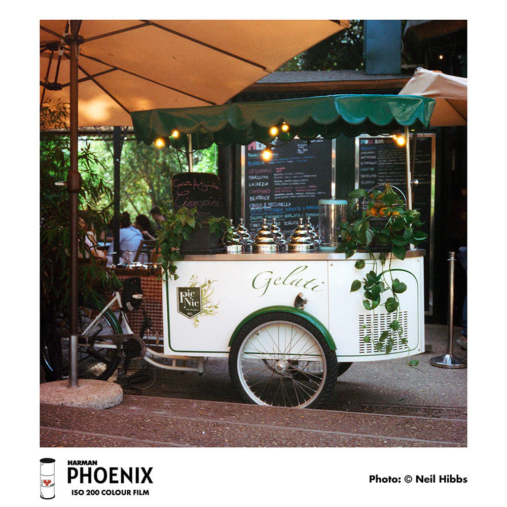 Harman Phoenix 200 120 Film