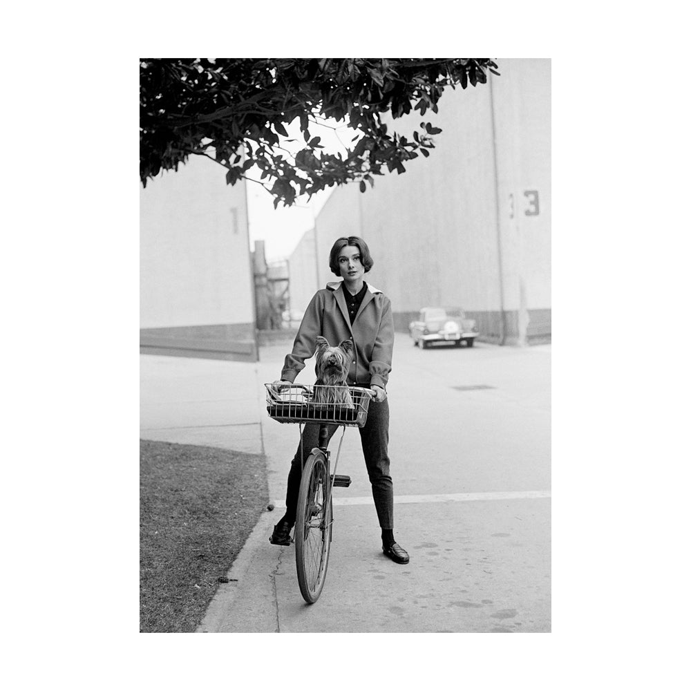 Sid Avery: The Art of the Hollywood Snapshot