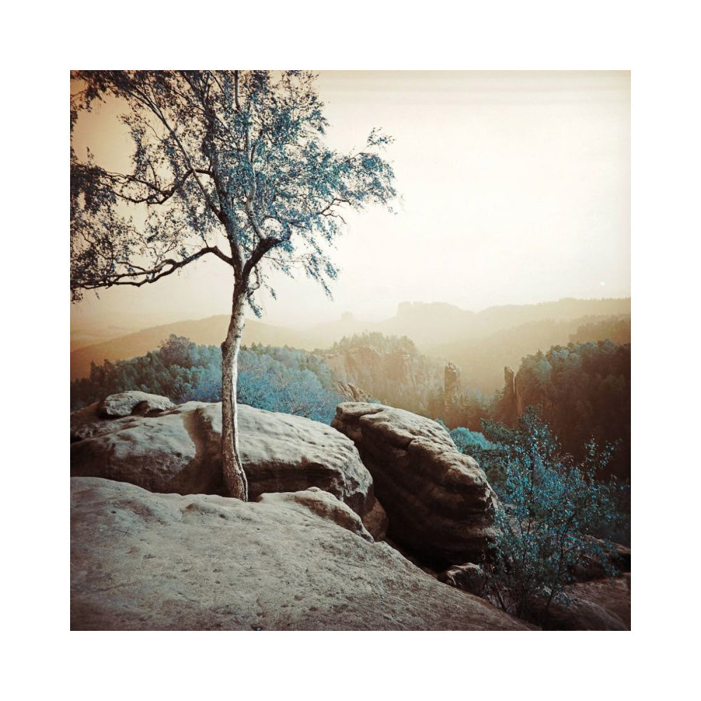 Lomochrome Turquoise 120