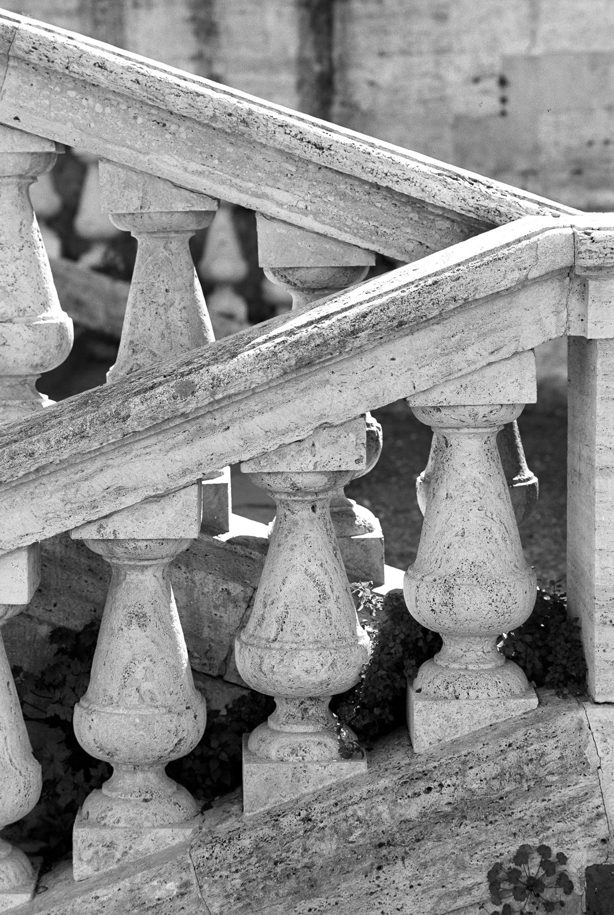 Orto 50 35mm