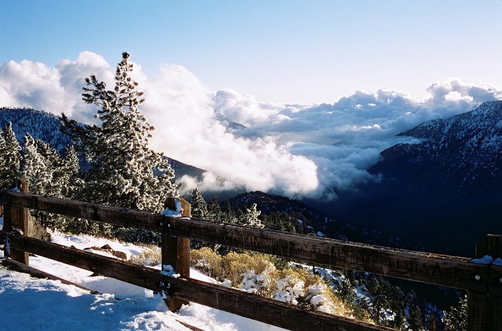 50 Daylight Xpro 120 Film